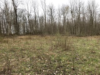 Property photo 44 - LAND AUCTION - 156.63+/- ACRES OFFERED IN 7 TRACTS IN ALLEN COUNTY, INDIANA